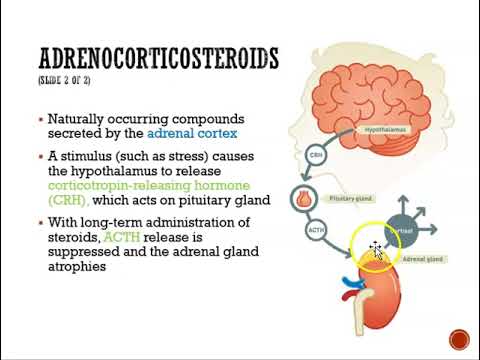 Todo lo que debes saber sobre los adrenocorticoides: funciones, usos y efectos secundarios