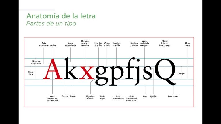 Descubre lo esencial de la anatomía de la letra en formato PDF