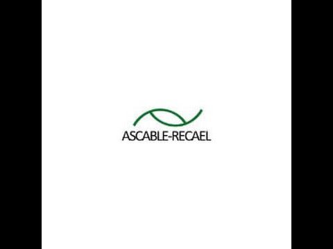 Todo lo que necesitas saber sobre el cable ASCABLE RECAEL RZ1 K: características, usos y beneficios
