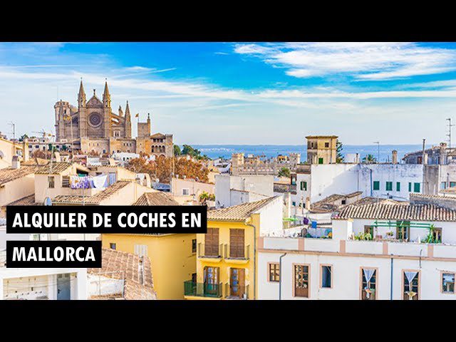 Descubre los mejores servicios de autobiz en Mallorca: guía completa
