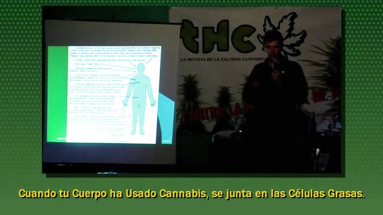 Descarga gratis el PDF de Chris Conrad sobre el cannabis para la salud: ¡Descubre todos sus beneficios!