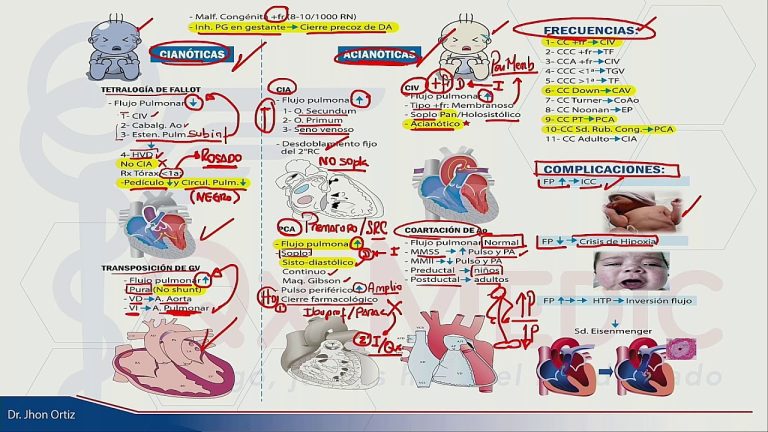 Todo lo que necesitas saber sobre la cardiopatología: síntomas, tratamientos y prevención