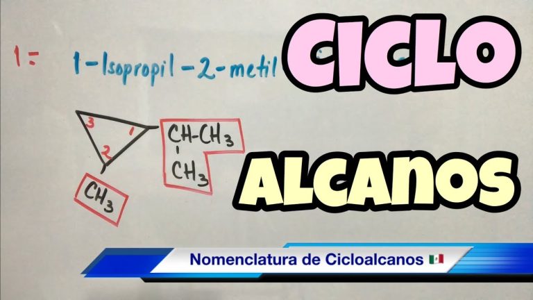 Descubre todo sobre los cicloalcanos polisustituidos: propiedades, usos y su importancia en la química