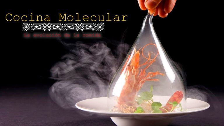 Descarga gratis las mejores recetas de cocina molecular y fusion