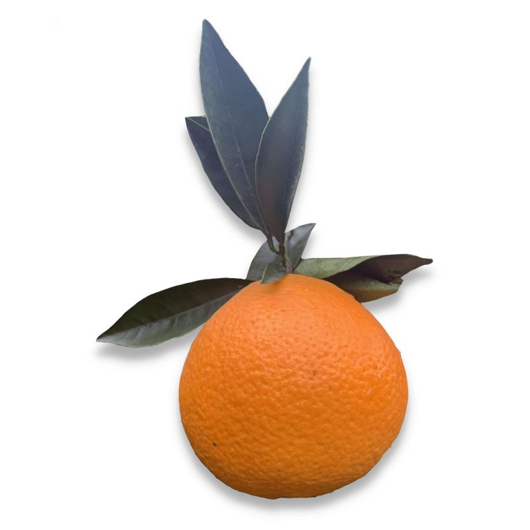 ¿Cómo Sacar la Tarjeta Naranja por Internet?