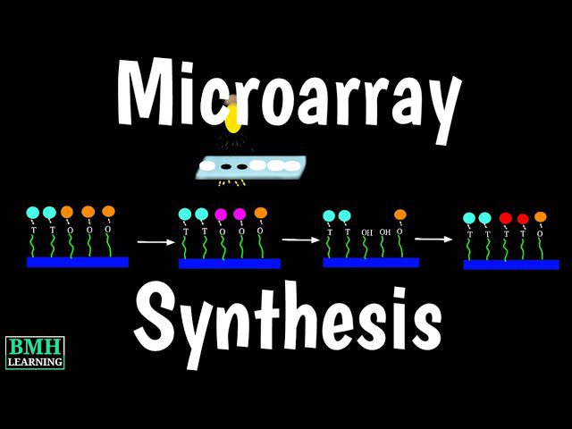 Descubre la fascinante animación del microarray de ADN: Todo lo que necesitas saber