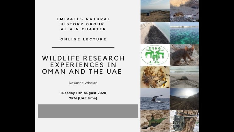 Explorando la rica historia natural de Dubai: Únete al Grupo de Historia Natural de Dubai para descubrir sus tesoros ocultos