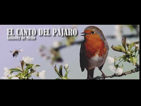 Descarga gratis el PDF con el canto del pájaro: una melodía que te conectará con la naturaleza
