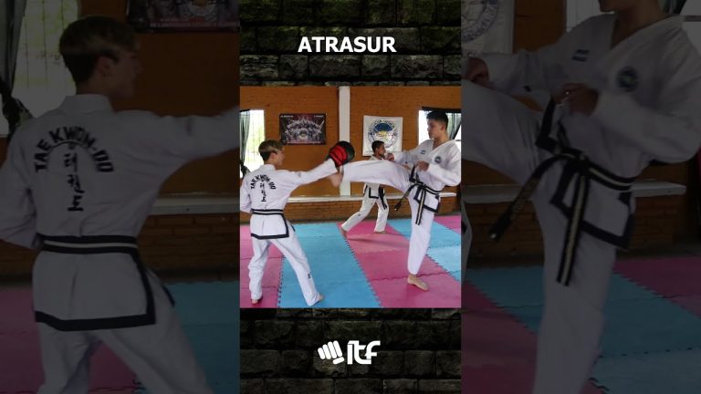 La mejor enciclopedia de Taekwondo ITF en español para descargar gratis: ¡Aprende y domina esta arte marcial!