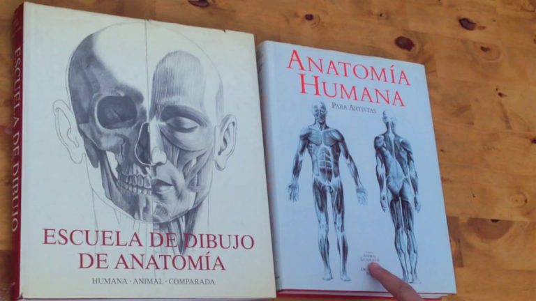 Aprende a dibujar el cuerpo humano con nuestra completa escuela de dibujo de anatomía en formato PDF