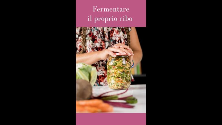 Descarga gratis el PDF definitivo sobre fermentación de alimentos: Guía completa para aprovechar al máximo este proceso