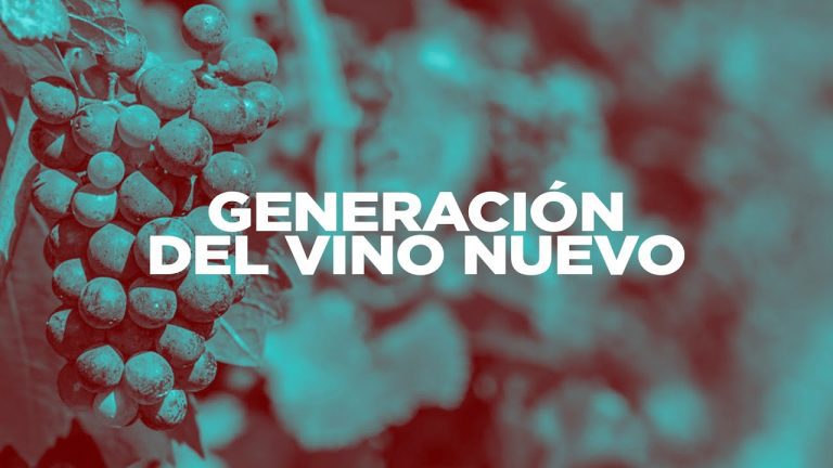 Descubre la fascinante Generación del Vino Nuevo: influencias, técnicas y tendencias
