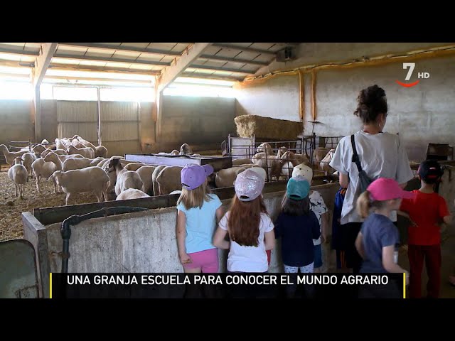 Descubre la magia de la granja escuela Los Limoneros: ¡Una experiencia educativa única!