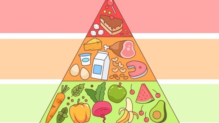 Descubre la fascinante historia de la pirámide alimenticia: su origen y evolución a lo largo del tiempo