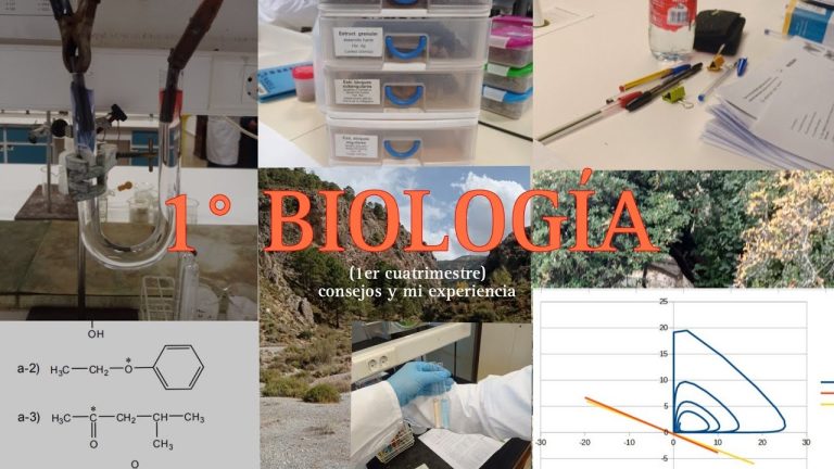 Encuentra aquí el horario completo de Biología en UGR: ¡Organiza tu tiempo de estudio de manera eficiente!