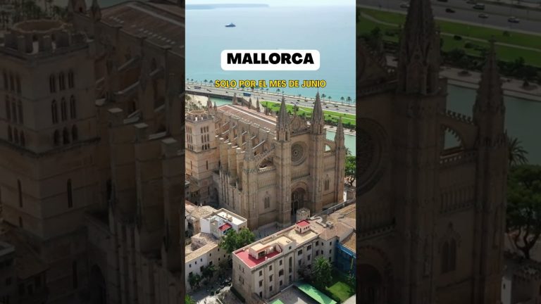 Descubre las mejores ofertas en Mallorca: ¡Busco un chollo para tus próximas vacaciones en la isla!