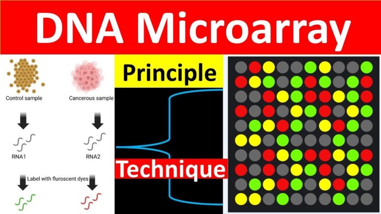 Domina la técnica de microarray con nuestra completa presentación (PPT)