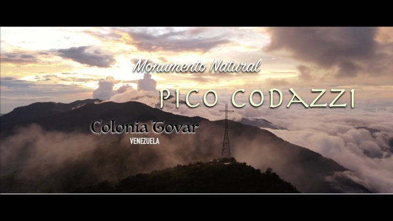 Explorando el enigmático Pico Codazzi: Una aventura natural en el corazón de la selva