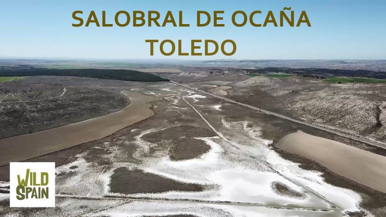 Descubre el encanto oculto de Salobral de Ocaña: Historia, paisajes y cultura en este sorprendente rincón de España