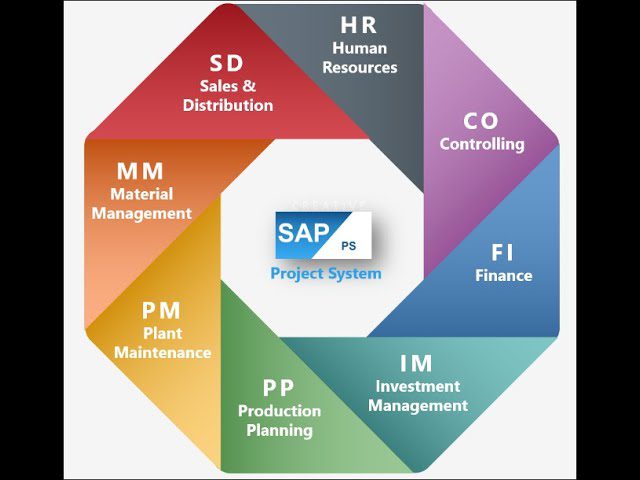 Guía completa de documentación del sistema de proyectos SAP: Organización, implementación y optimización