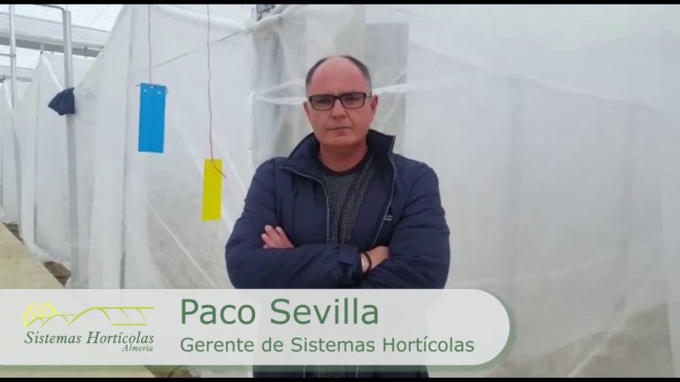 Descubre los mejores sistemas hortícolas en Almería: Guía completa + Consejos expertos