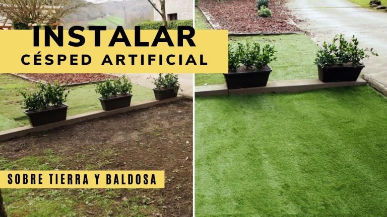 Secretos para lograr un césped sumamente verde y saludable: descubre cómo sumigran césped puede transformar tu jardín