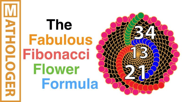 Discover the Magic of the Fabulous Fibonacci Numbers – Unveiling their Intriguing Patterns and Significance