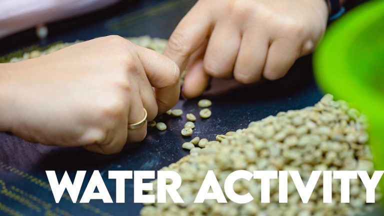 Understanding the Importance of Water Activity in Coffee: A Complete Guide